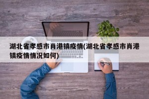 湖北省孝感市肖港镇疫情(湖北省孝感市肖港镇疫情情况如何)