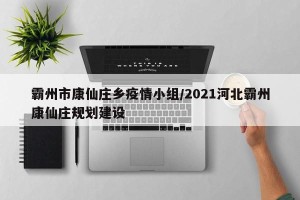 霸州市康仙庄乡疫情小组/2021河北霸州康仙庄规划建设